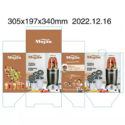 BLENDER SET 600W (6)