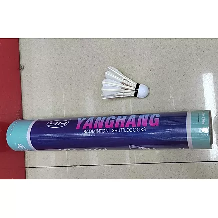 ВОЛАНЫ ДЛЯ БАДМИНТОНА 12 ШТ (50)