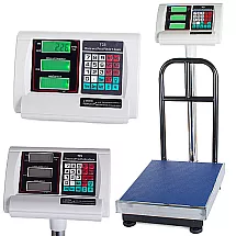 Electronic storage weights 100kg/20g