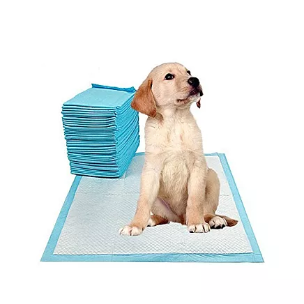 Materials for dogs teaching to pee 45x60 50 sizes