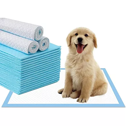 Materials for dogs teaching to pee 45x60 50 sizes