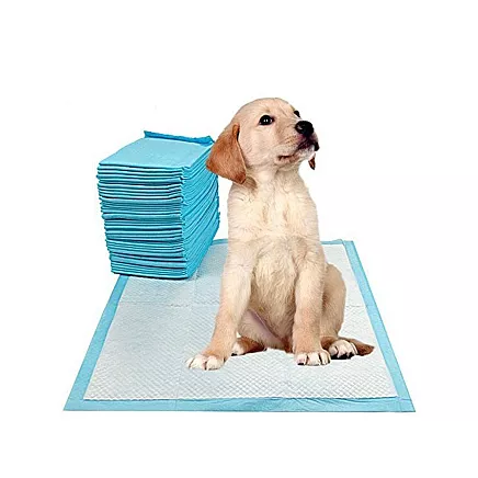 Mats for dogs teaching to teach peek 60x60 40 sizes