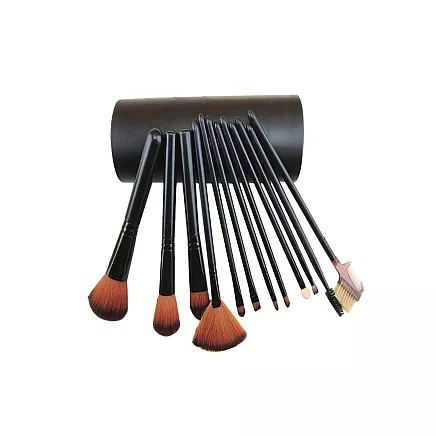 Set of professional make-up brushes 12 pieces