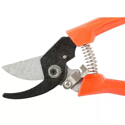 Dārza Šķēres, Zaru Griezējs Krūmiem un Ziediem