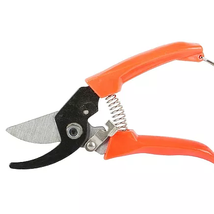 Dārza Šķēres, Zaru Griezējs Krūmiem un Ziediem