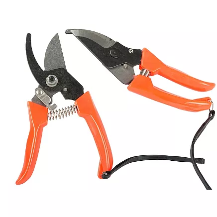 Dārza Šķēres, Zaru Griezējs Krūmiem un Ziediem