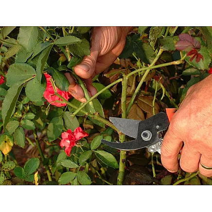 Dārza Šķēres, Zaru Griezējs Krūmiem un Ziediem