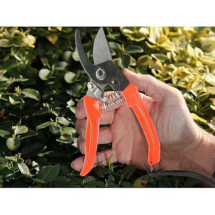 Dārza Šķēres, Zaru Griezējs Krūmiem un Ziediem