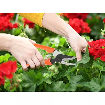 Dārza Šķēres, Zaru Griezējs Krūmiem un Ziediem