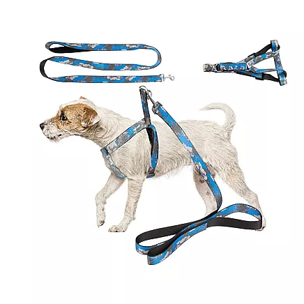 Regulējamas pastaigu siksnas ar iemauktiem suņiem un kaķiem, M izmērs