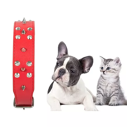 Studded dog collar eco leather adjustable xl