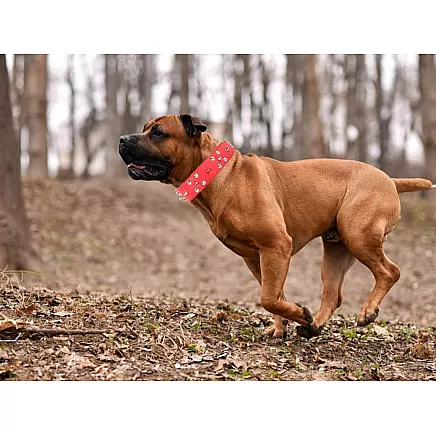 Studded dog collar eco leather adjustable xl