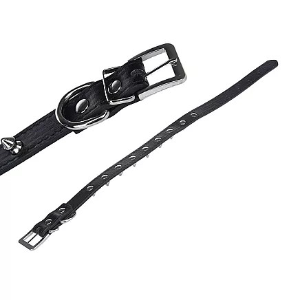 Studded dog collar eco leather adjustable m