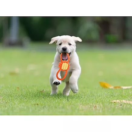 Dog toy chew tug rope strong long