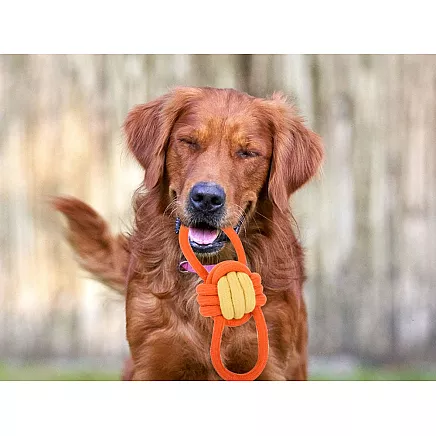 Dog toy chew tug rope strong long