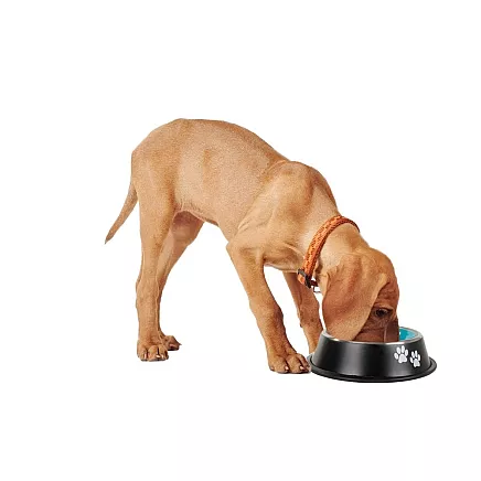 Anti-slip metal dog bowl large 1l