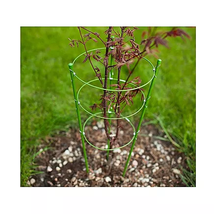 Ziedu Gredzens Augu Atbalsts Apaļš