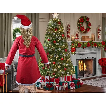 Santa claus costume dress