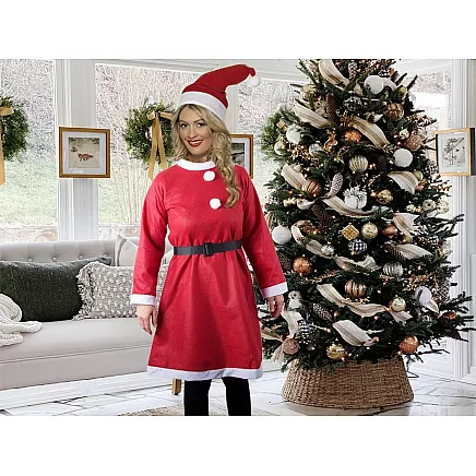 Santa claus costume dress