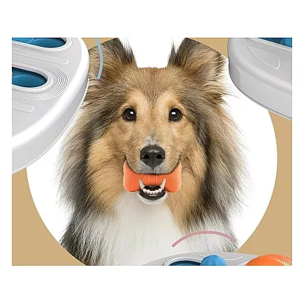 Attīstošā suņu rotaļlieta prāta spēle ar kārumiem un graužamajiem elementiem