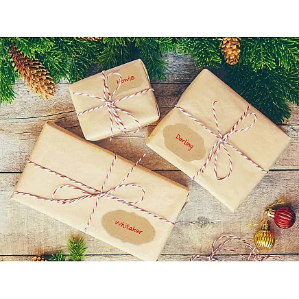 Pašlīmējošās etiķešu uzlīmes, 250 gab., 5×3 cm