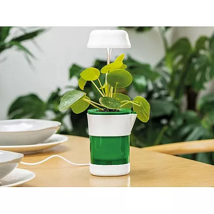 Plant growth panel lamp 6 led 4 uv self watering pot