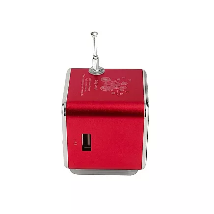 Wireless Mini Bluetooth Speaker with FM Radio and LED Backlight