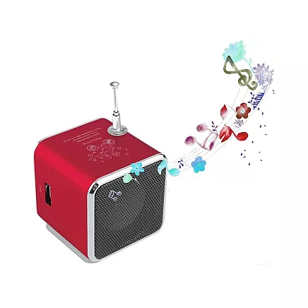 Wireless Mini Bluetooth Speaker with FM Radio and LED Backlight