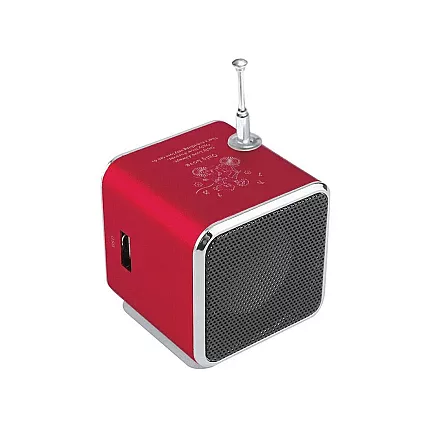 Wireless Mini Bluetooth Speaker with FM Radio and LED Backlight
