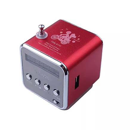 Wireless Mini Bluetooth Speaker with FM Radio and LED Backlight