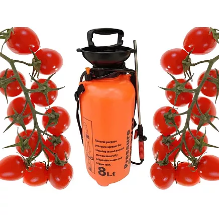 Pressure sprayer garden hand sprayer long lance 8l belt