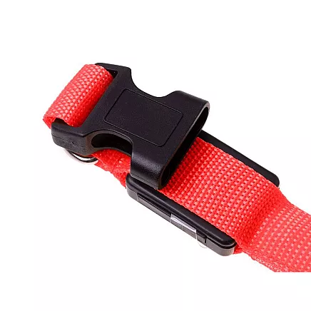 LIGHTING COLLAR 45-52CM RED (240) GAB_A