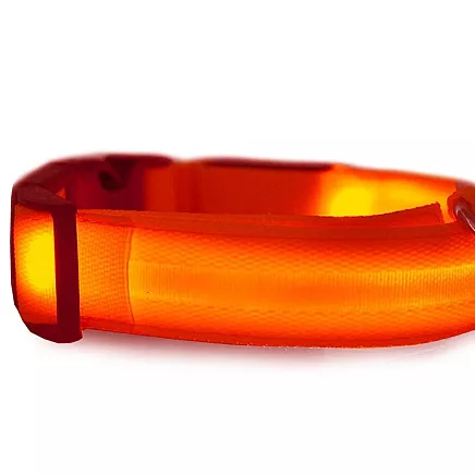 LIGHTING COLLAR 45-52CM RED (240) GAB_A