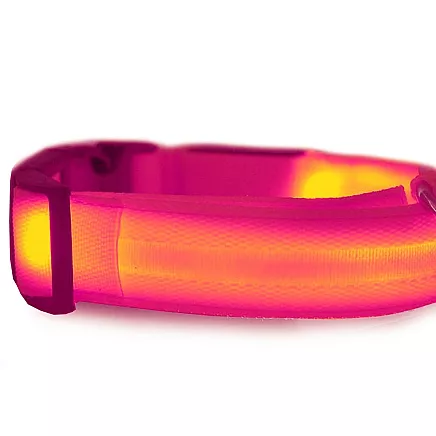 LIGHTING COLLAR 45-52CM PINK (240) GAB_A