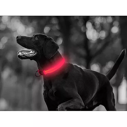 LIGHTING COLLAR 45-52CM PINK (240) GAB_A