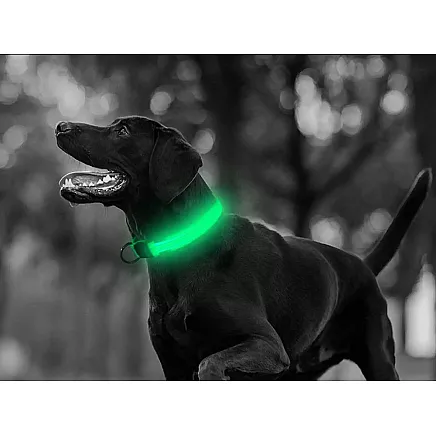 LIGHTING COLLAR 45-52CM GREEN (240) GAB_A