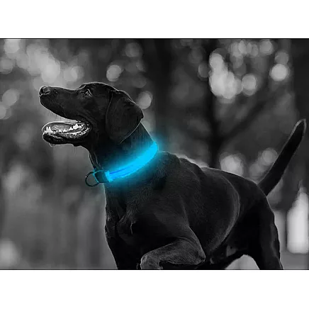 LIGHTING COLLAR 45-52CM BLUE (240) GAB_A