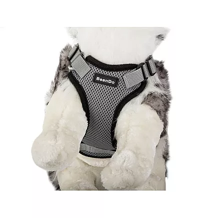 Gājiena siksna suņiem, mīksta stipra L