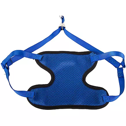 Bezspiediena vieglas siksnas ar pavadu suņiem un kaķiem, melns