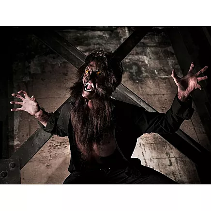 Drakulas mākslīgie zobi un 14ml mākslīgās asinis