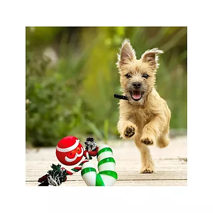 Set of dog toys dog chew tugger 3 pcs mix toy holiday gift