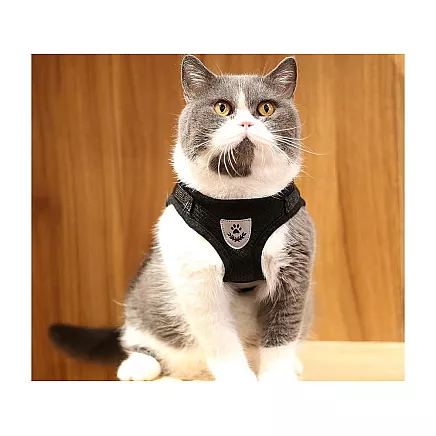 Bezspiediena pastaigu iejūgs suņiem kaķiem trušiem XS reflektors