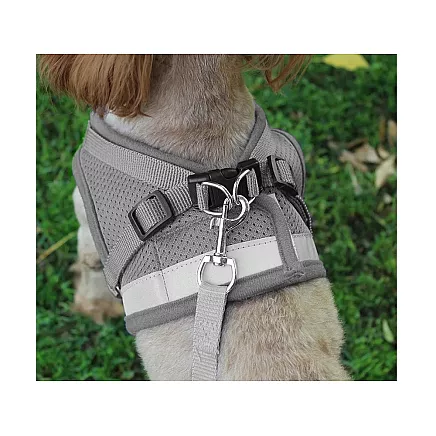 Bezpiediena pastaigu iejūgs XS ar atstarojošiem elementiem