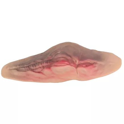 Fake cut throat wound with 10ml of fake blood halloween accessory