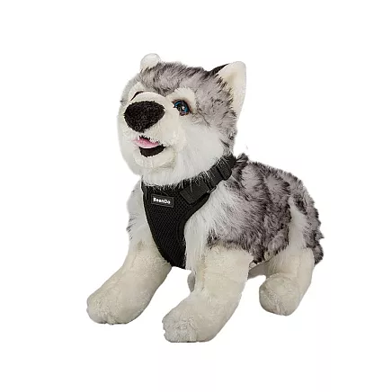 Beztlaka pastaigu iejūgs mazam sunim S