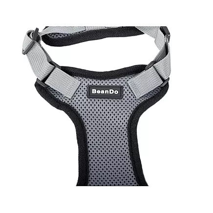 Mazsuns bezspiediena pastaigu siksniņa S