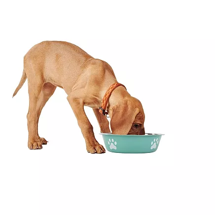 Dog cat food water bowl metal anti-slip pot large 400ml