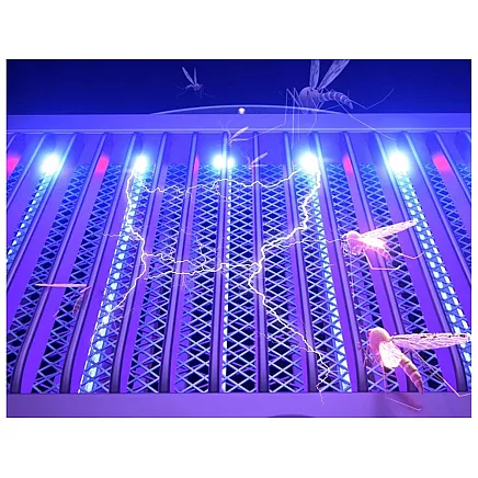 Uv insecticide lamp for mosquitoes flies electric insect trap effective