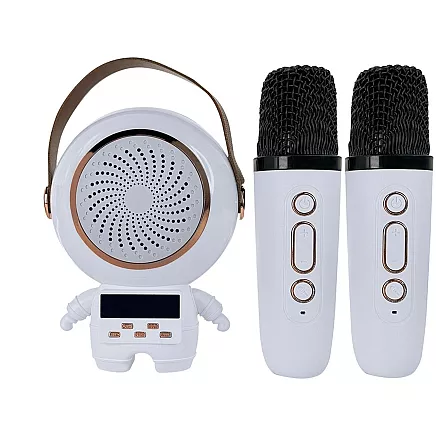 Wireless karaoke personal kit bluetooth speaker + 2x microphone