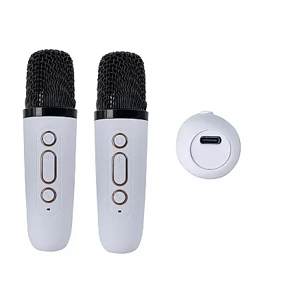 Wireless karaoke personal kit bluetooth speaker + 2x microphone
